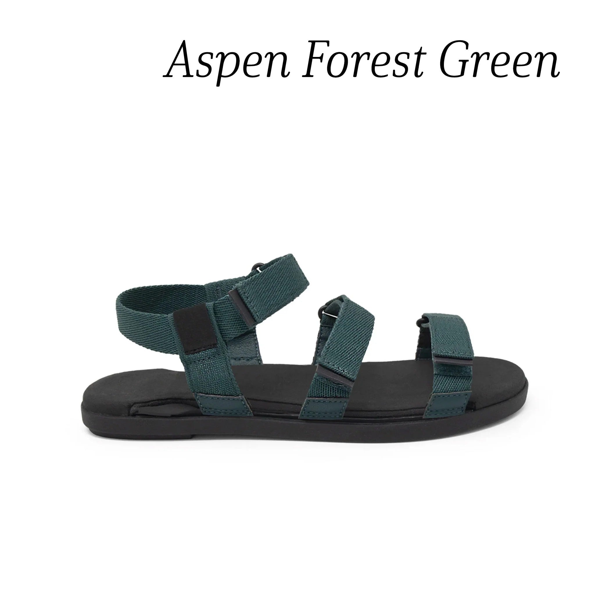 Aspen- Forest Green Flats Top Only